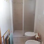 Barbatoja Fetovaia