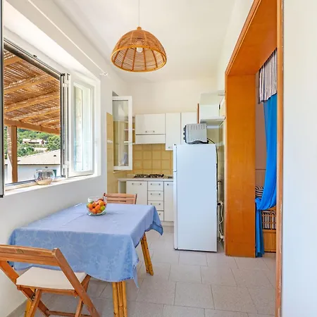 Barbatoja * فيتوفايا