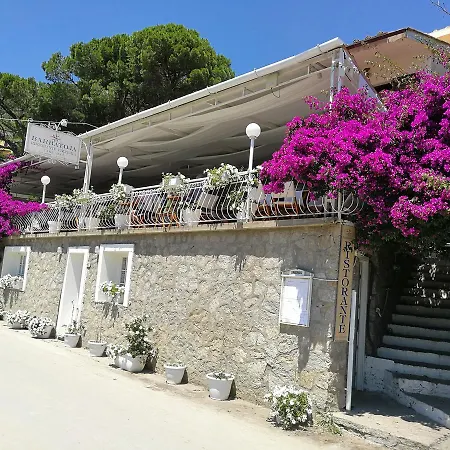 Barbatoja