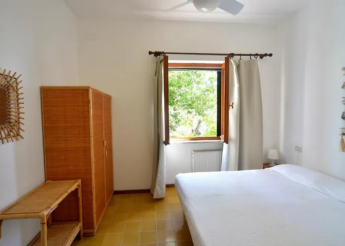 Barbatoja * Fetovaia