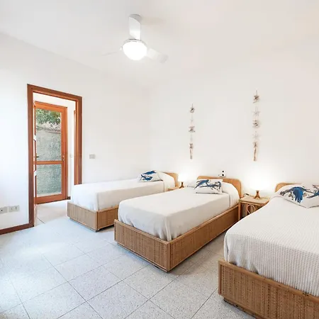 Barbatoja * Fetovaia